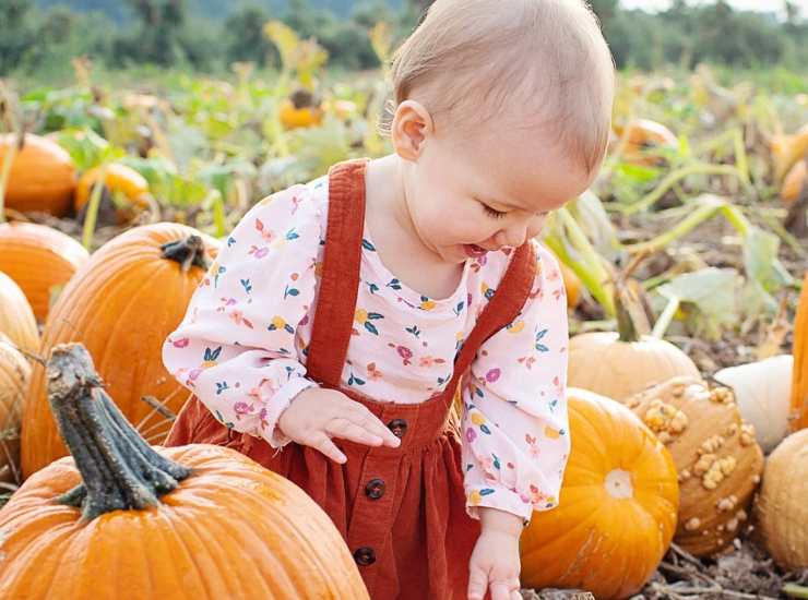 campi di zucca più belli d'Italia