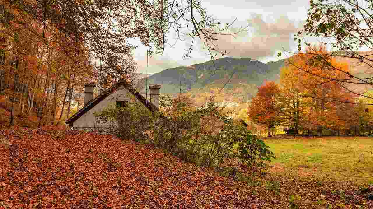 foliage ed escursioni in Italia