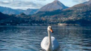 lago di como cosa vedere