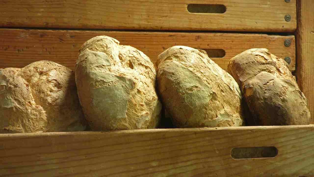 pane sardo