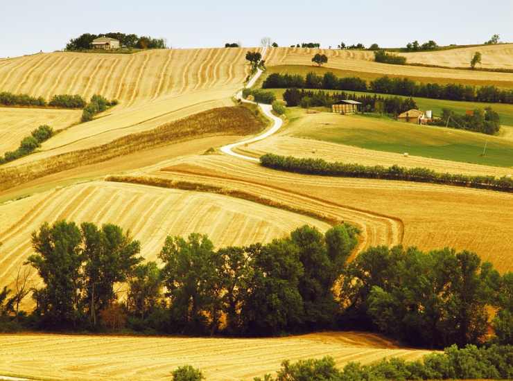 Peglio città dell'amore 