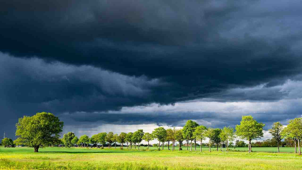 allerta meteo