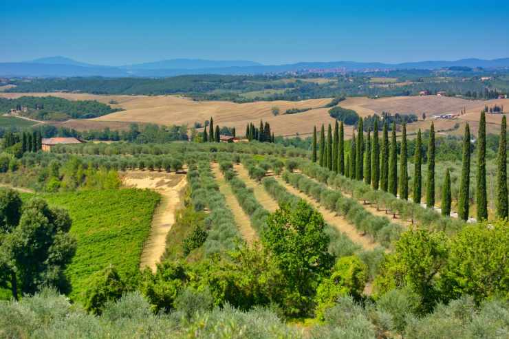 ecco cosa vedere in questo parco