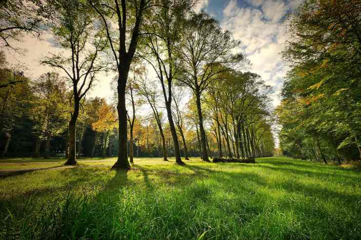 parco sardegna