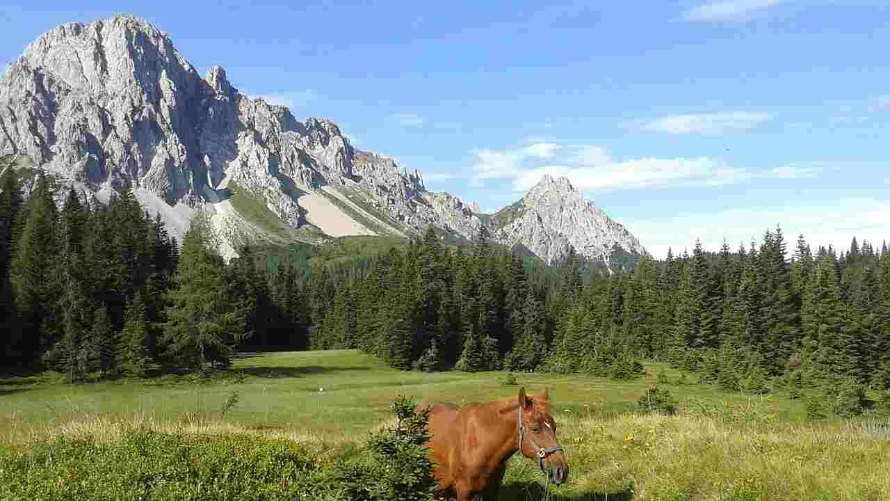 monte lussari novità